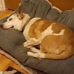 Meet your Posher, Tiffani